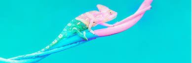 Adaptability
