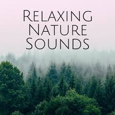 Relaxing Nature Sounds