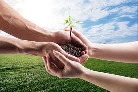 Growth Beliefs