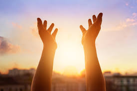 Your search for fulfillment