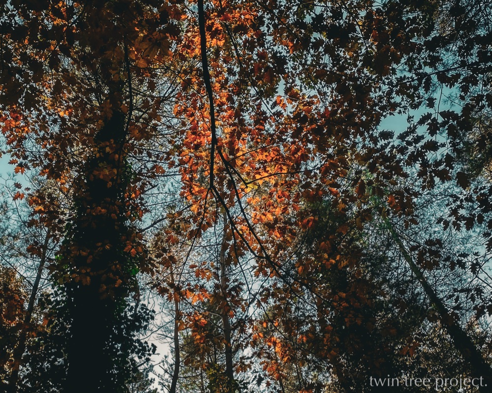 Stoicism in a Nutshell: A (Better?) Path to Inner Strength and ...