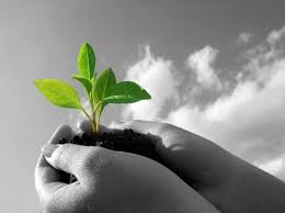 Creating a growth-mindset environment