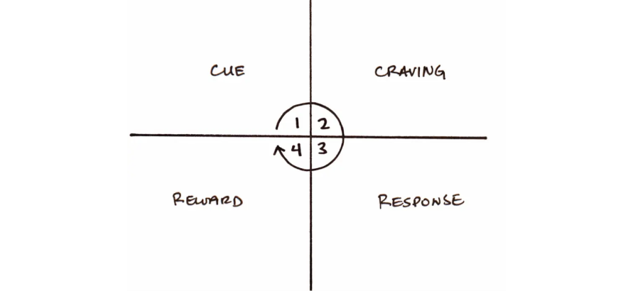 The Four Stages Of Habit Build